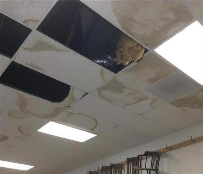 ceiling with water damage and some panels missing