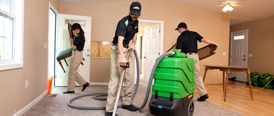 Arleta, CA cleaning services